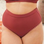 Brick Red Contrast Stitch High Cut Plus Size Bikini Bottom