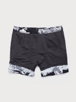 The Black Sea Men's 5" Swimming Trunks - Image 3
