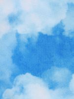 The Blue Sky Beach Men's 7" Swimming Trunks - Image 7