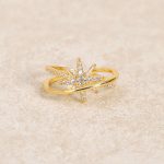 Galaxy Orbit Ring
