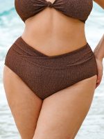 Dark Coffee V Cut Plus Size Bikini Bottom