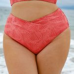 Red Jacquard V Cut Plus Size Bikini Bottom