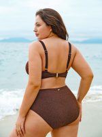 Dark Coffee V Cut Plus Size Bikini Bottom - Image 2