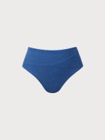 Blue Lurex Plus Size Bikini Bottom - Image 5