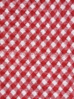 Red Gingham Plus Size Bikini Top - Image 8