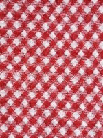 Red Gingham Knot Plus Size Bikini Top - Image 7