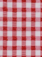 Red Gingham Textured Tie Bikini Bottom - Image 8